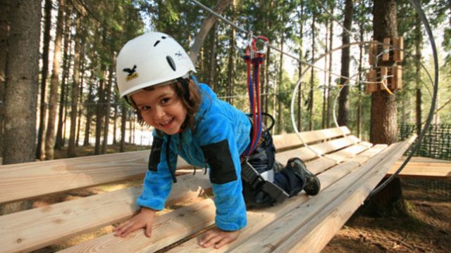 <strong>Special Offer:</strong> offer Adventure park