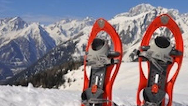 <strong> Special Offer: </ strong> Offer Snowshoeing